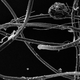 A clump of acryllic fibres seen under a microscope at Plymouth University’s Electron Microscopy Centre.